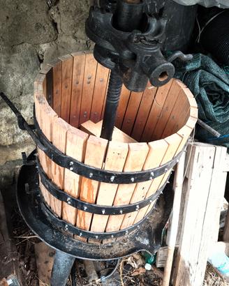 torchio e pigia diraspatrice