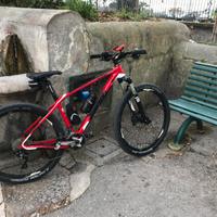 Bici mtb