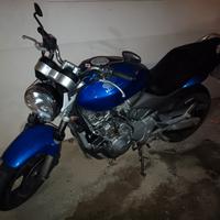 Honda hornet