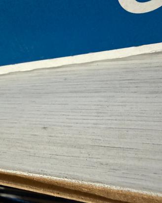 Parquet grigio chiaro