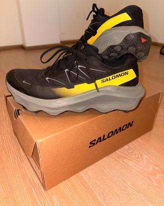Salomon ultra flow 2 Gtx, 43,5