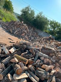 legna secca per provviste invernali