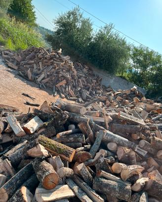 legna secca per provviste invernali