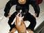 Immagine 1