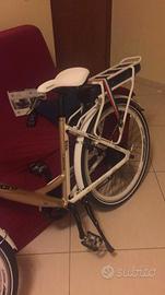 Biclicletta armony da donna