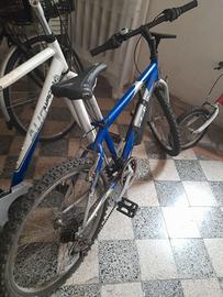 bicicletta