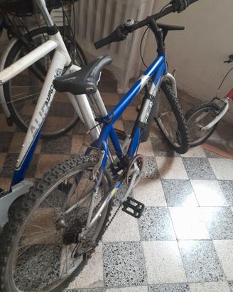 bicicletta