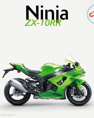 Kawasaki Ninja 1000 ZX-10 RR 2026