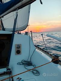 Barca a vela Massari U22