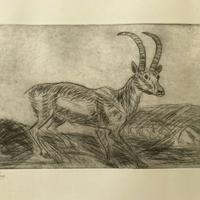 Puntesecche Antonio Ligabue