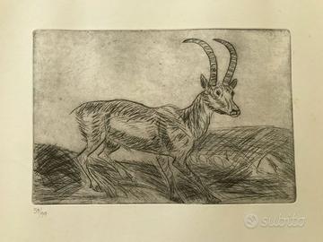 Puntesecche Antonio Ligabue