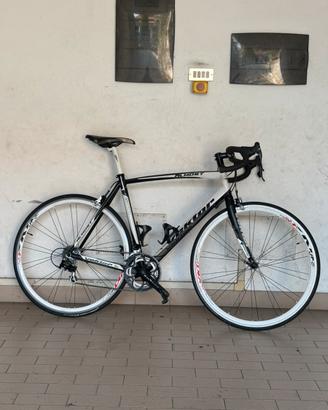 Bici da Corsa VEKTOR Almost L – Campagnolo 10v
