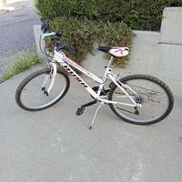 Bicicletta ragazzo/ragazza fino 14 anni 