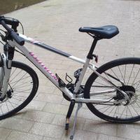 Bici Specialized Ariel