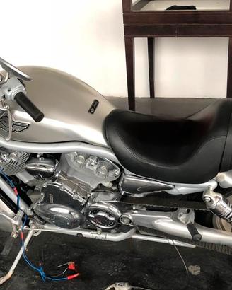 harley Davidson V-ROD 100th ANNIVERSAY amatore 