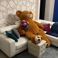 Orso peluche gigante di due metri