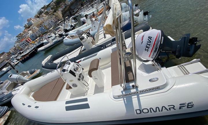 D'oriano marine - domar f6