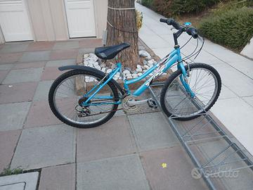 Bicicletta ragazzio mtb 24