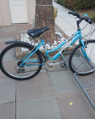 Bicicletta ragazzio mtb 24