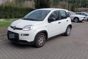 Fiat Panda Ibrida 2024