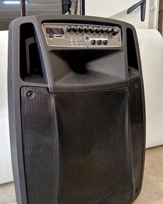 Cassa Attiva Portatile con Batteria e 2 Radiomicro