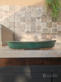 Vaso Bonsai 