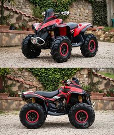 Can-Am Renegade 570 – Anno 2016