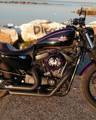 Harley-Davidson Sportster 1200 Nightster (2008)