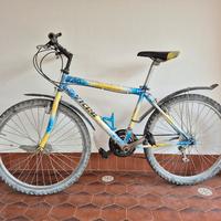 Bicicletta Vicini. Mountain Bike. Rimini