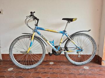 Bicicletta Vicini. Mountain Bike. Rimini