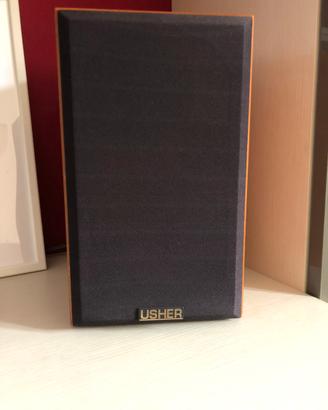 Diffusori casse stereo USHER