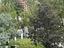 Immagine 11