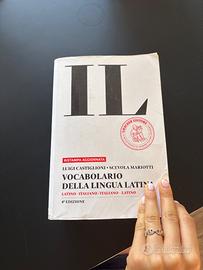 dizionario 