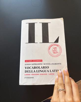 dizionario 