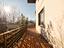 Immagine 16