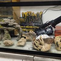 aquario completo di pezzi 