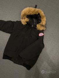 Canada Goose