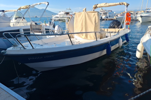 Fiart marea 20 mercury 115cv 4 tempi