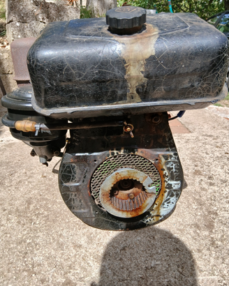 Motore lombardini im 350