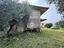 Immagine 15