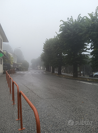 Addetto alle pulizie / Lavapiatti / Aiuto cucina