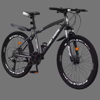 Mountain Bike  (Roma)