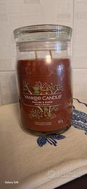 candela yankee