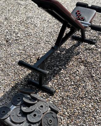 Panca inclinabile per Palestra