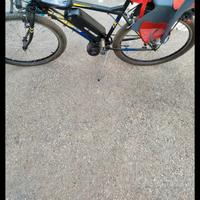bicicletta elettrica