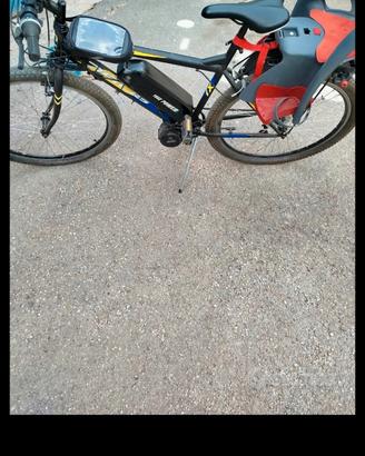bicicletta elettrica