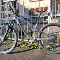 Transition Sentinel carbon