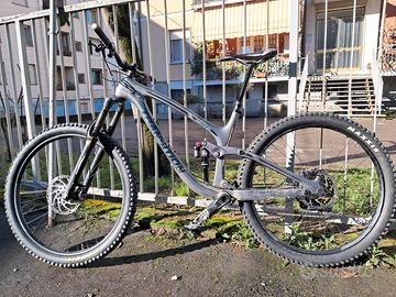 Transition Sentinel carbon