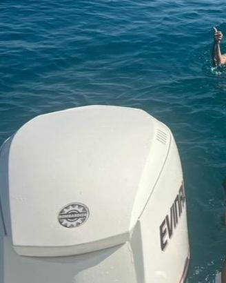 Motore evinrude etec 250