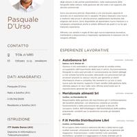 21 anni - settore automotive e altro